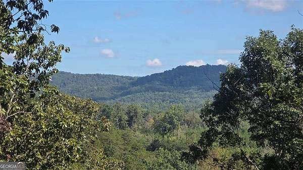 26.1 Acres of Land for Sale in Ranger, Georgia