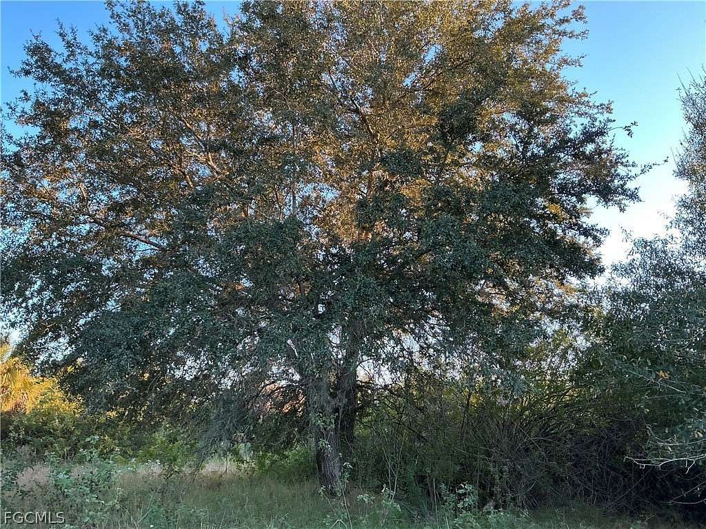 13.3 Acres of Agricultural Land for Sale in LaBelle, Florida