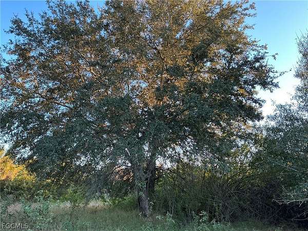 13.3 Acres of Agricultural Land for Sale in LaBelle, Florida