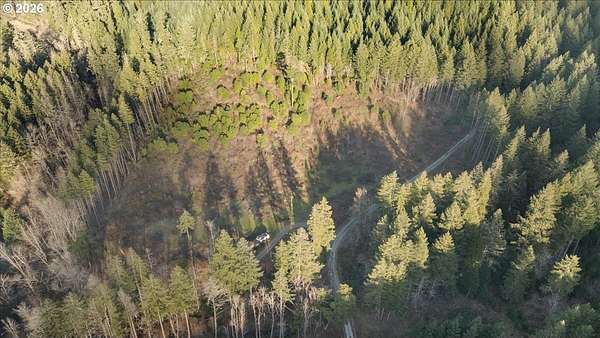 10 Acres of Residential Land for Sale in Azalea, Oregon