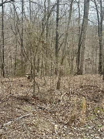 0.31 Acres of Residential Land for Sale in Bella Vista, Arkansas