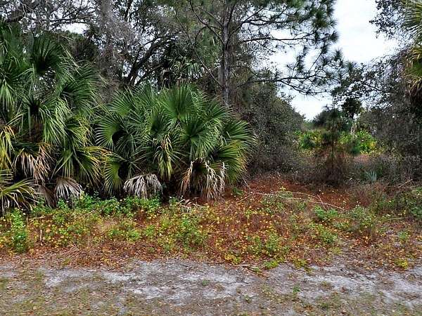 0.23 Acres of Residential Land for Sale in North Port, Florida