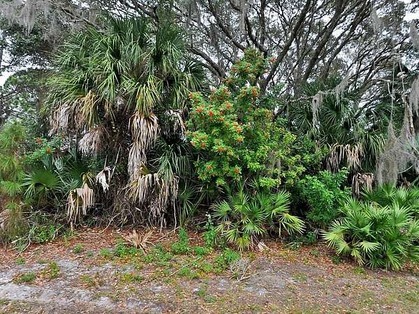 0.23 Acres of Residential Land for Sale in North Port, Florida