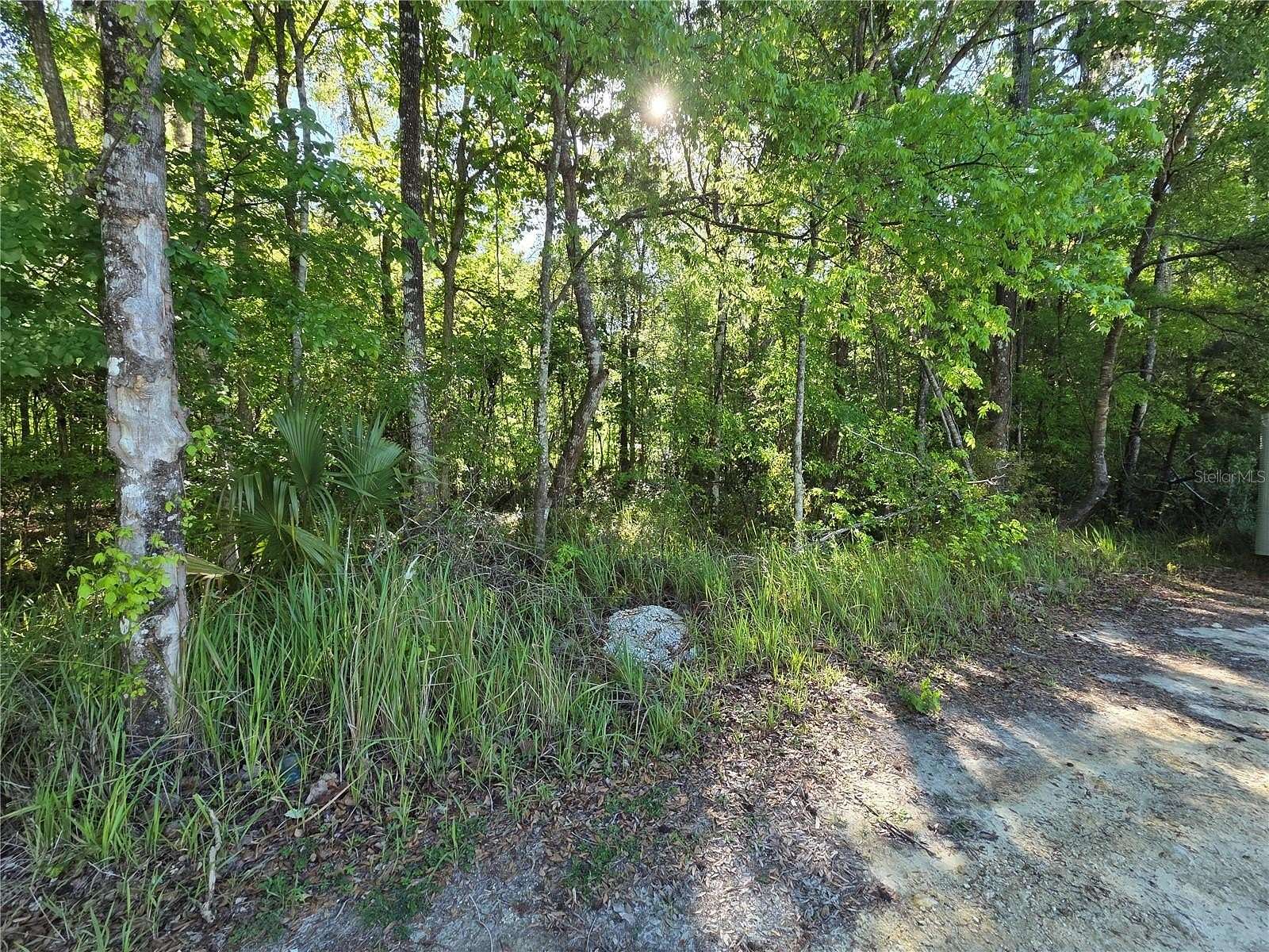 0.33 Acres of Residential Land for Sale in Belleview, Florida