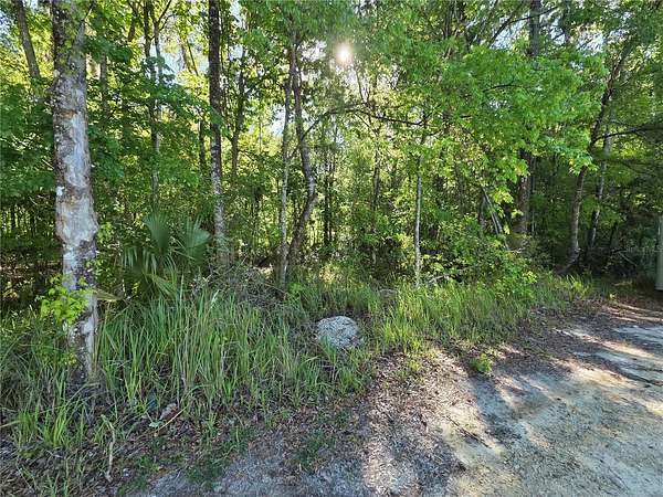 0.33 Acres of Residential Land for Sale in Belleview, Florida