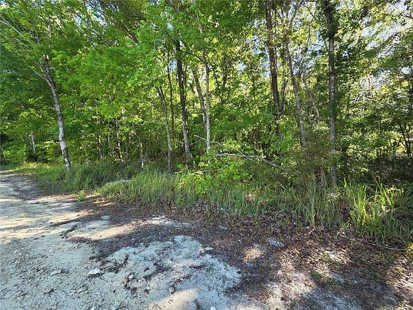 0.33 Acres of Residential Land for Sale in Belleview, Florida