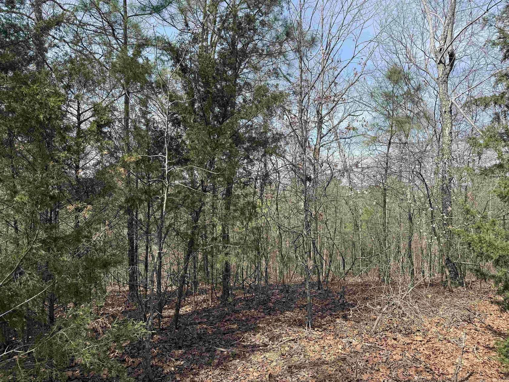 1.52 Acres of Residential Land for Sale in Clinton, Arkansas