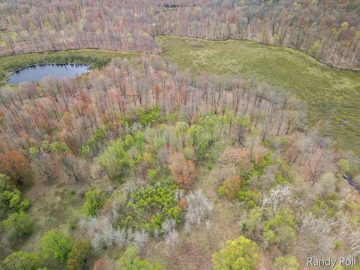 106 Acres of Recreational Land for Sale in Evart, Michigan