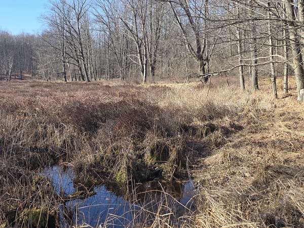 106 Acres of Recreational Land for Sale in Evart, Michigan