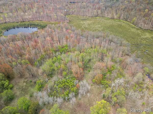 106 Acres of Recreational Land for Sale in Evart, Michigan