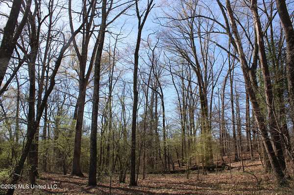 1.8 Acres of Residential Land for Sale in Olive Branch, Mississippi