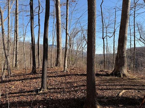 11 Acres of Land for Sale in Sylva, North Carolina