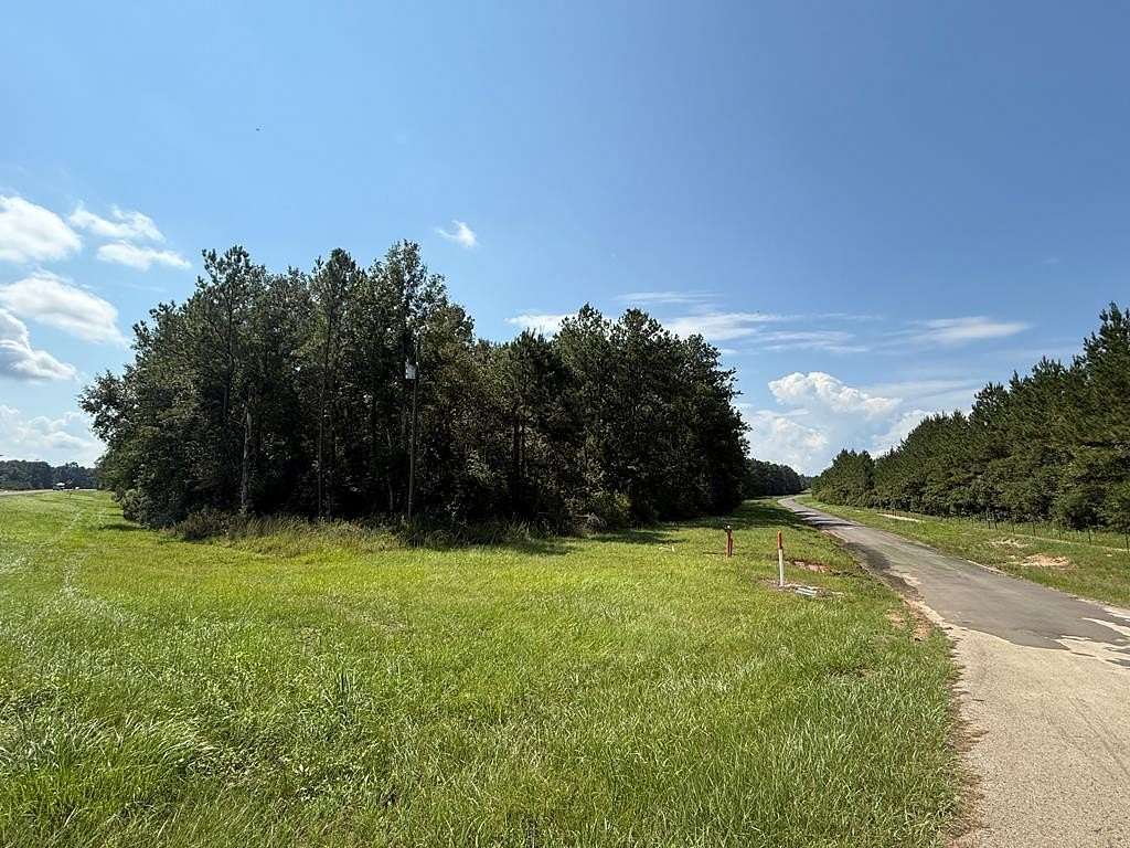 16.9 Acres of Mixed-Use Land for Sale in Kirbyville, Texas