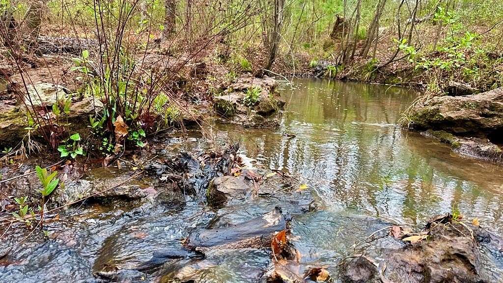 14.8 Acres of Recreational & Residential Land for Sale in Hemphill, Texas