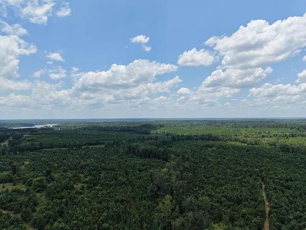 14.8 Acres of Recreational & Residential Land for Sale in Hemphill, Texas