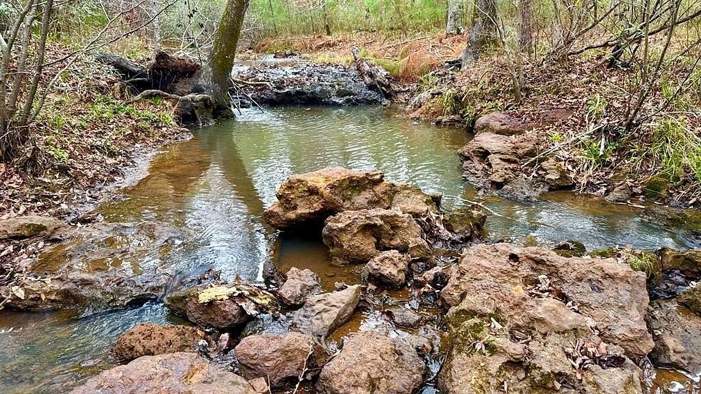 19.5 Acres of Recreational & Residential Land for Sale in Hemphill, Texas