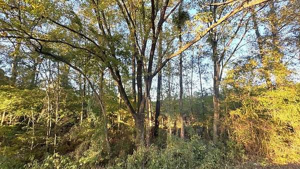 14 Acres of Recreational & Residential Land for Sale in Hemphill, Texas