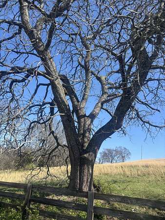 159 Acres of Land for Sale in Nolensville, Tennessee