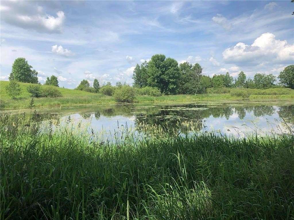 20 Acres of Recreational & Residential Land for Sale in Finlayson, Minnesota