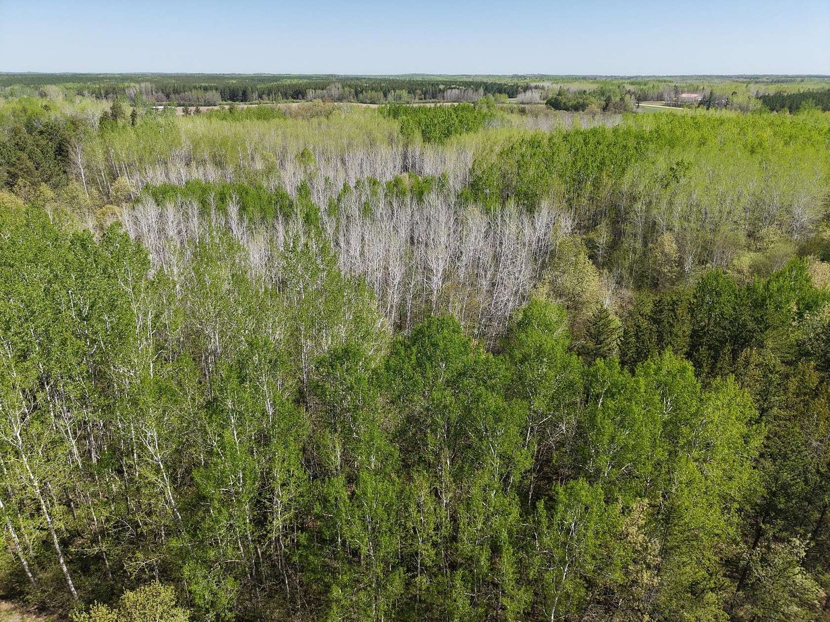 5.3 Acres of Land for Sale in Osage, Minnesota