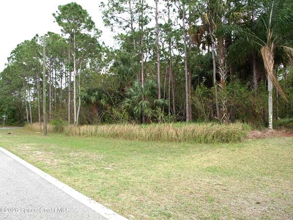 0.23 Acres of Residential Land for Sale in Palm Bay, Florida