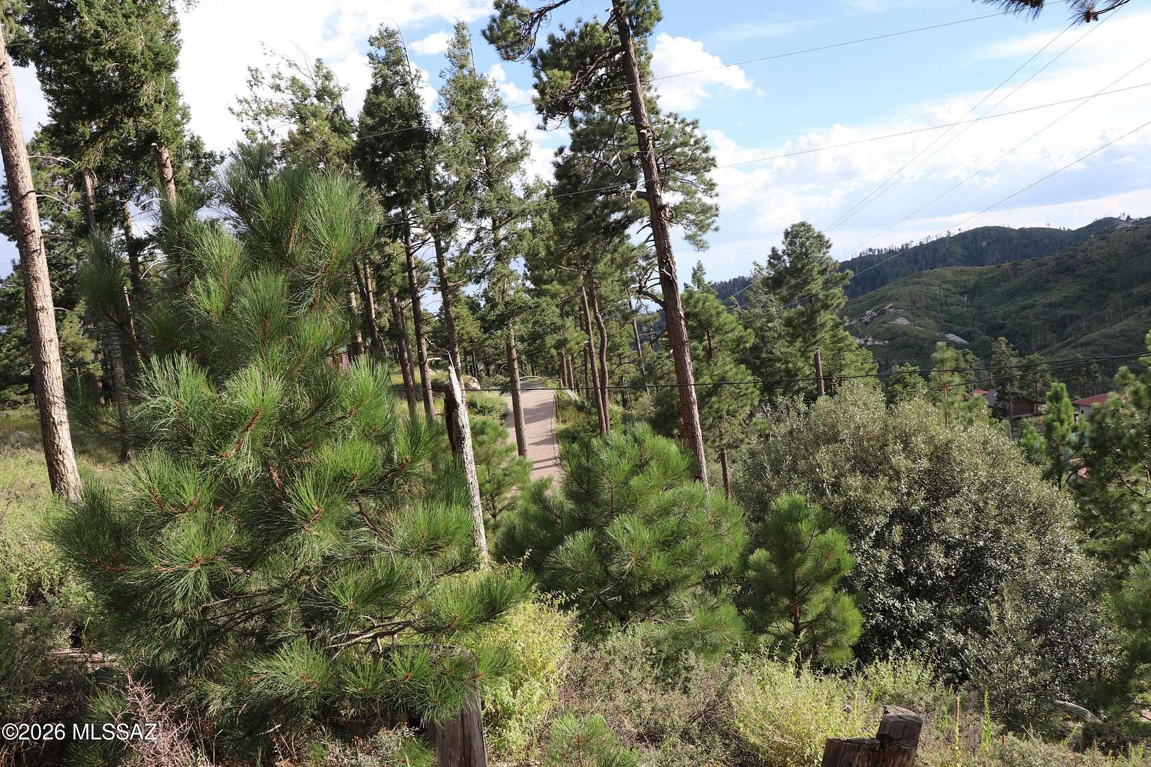 0.24 Acres of Land for Sale in Summerhaven, Arizona