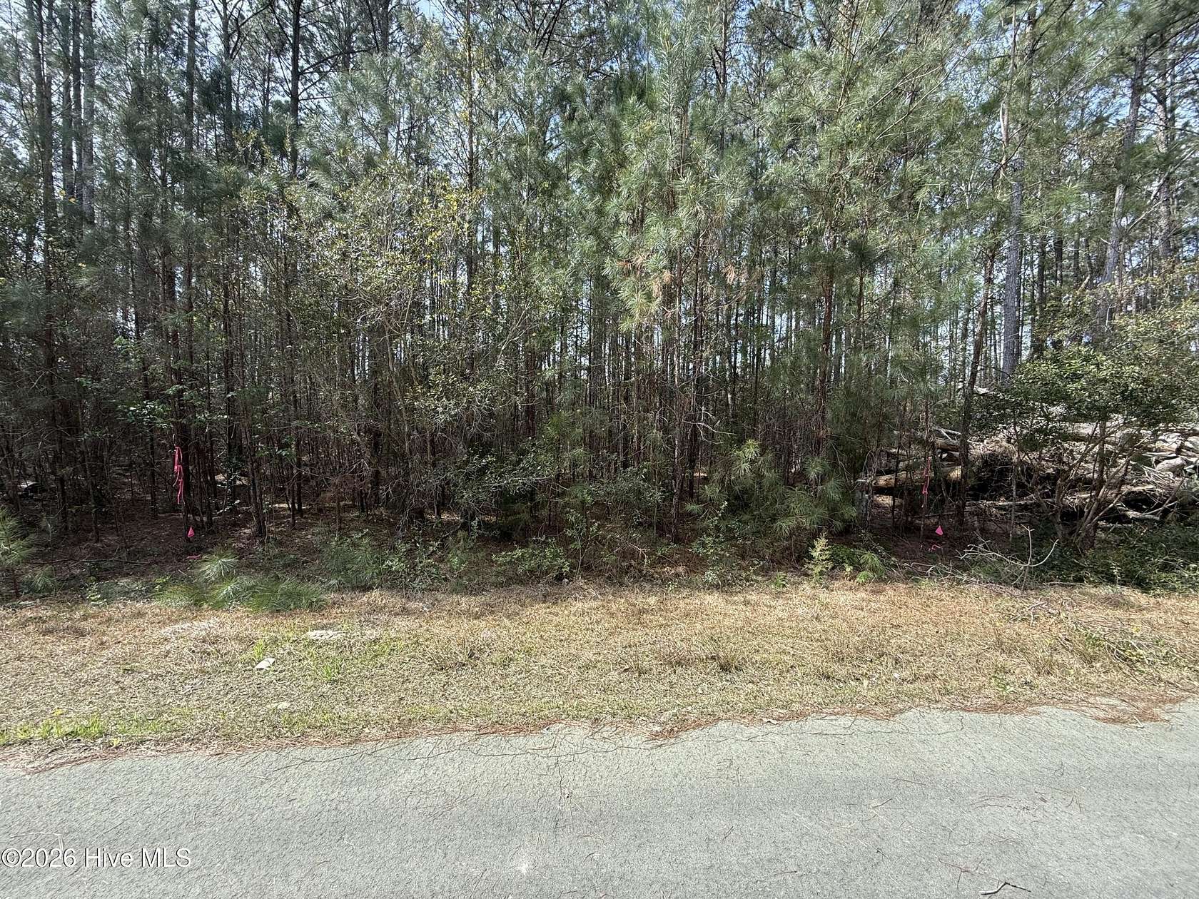 1.35 Acres of Residential Land for Sale in Oriental, North Carolina