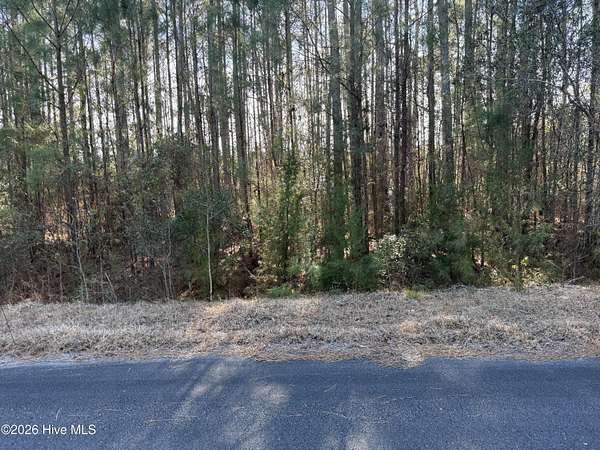 1.35 Acres of Residential Land for Sale in Oriental, North Carolina