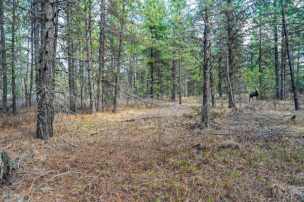 14.5 Acres of Land for Sale in Deer Park, Washington