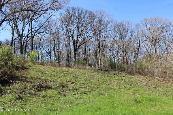 6.46 Acres of Residential Land for Sale in Olive Branch, Mississippi
