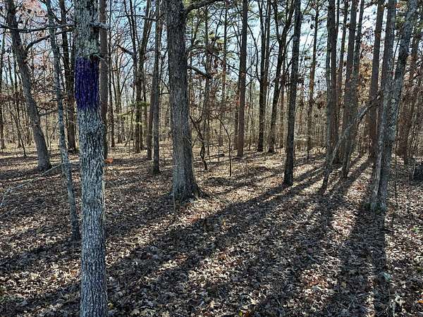 10 Acres of Residential Land for Sale in Jackson Township, Missouri