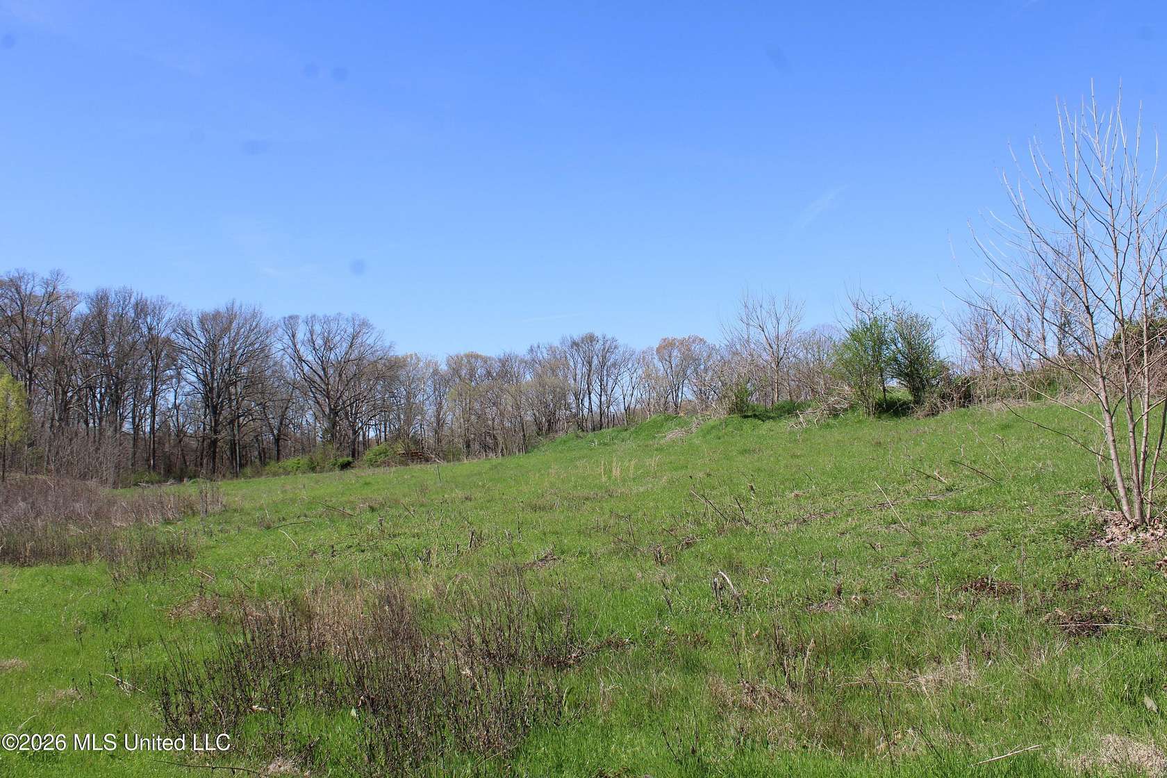 1.84 Acres of Residential Land for Sale in Olive Branch, Mississippi