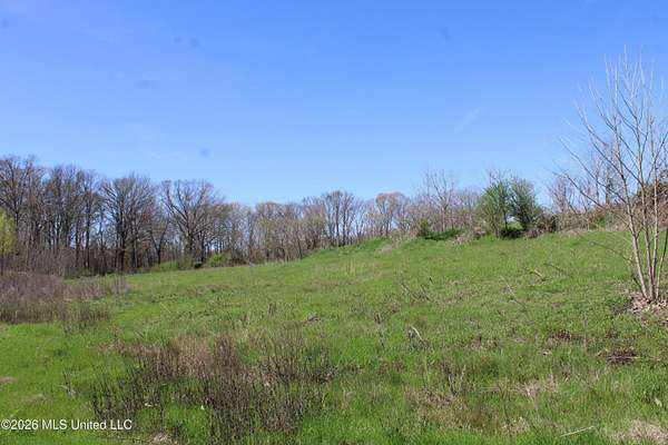1.84 Acres of Residential Land for Sale in Olive Branch, Mississippi