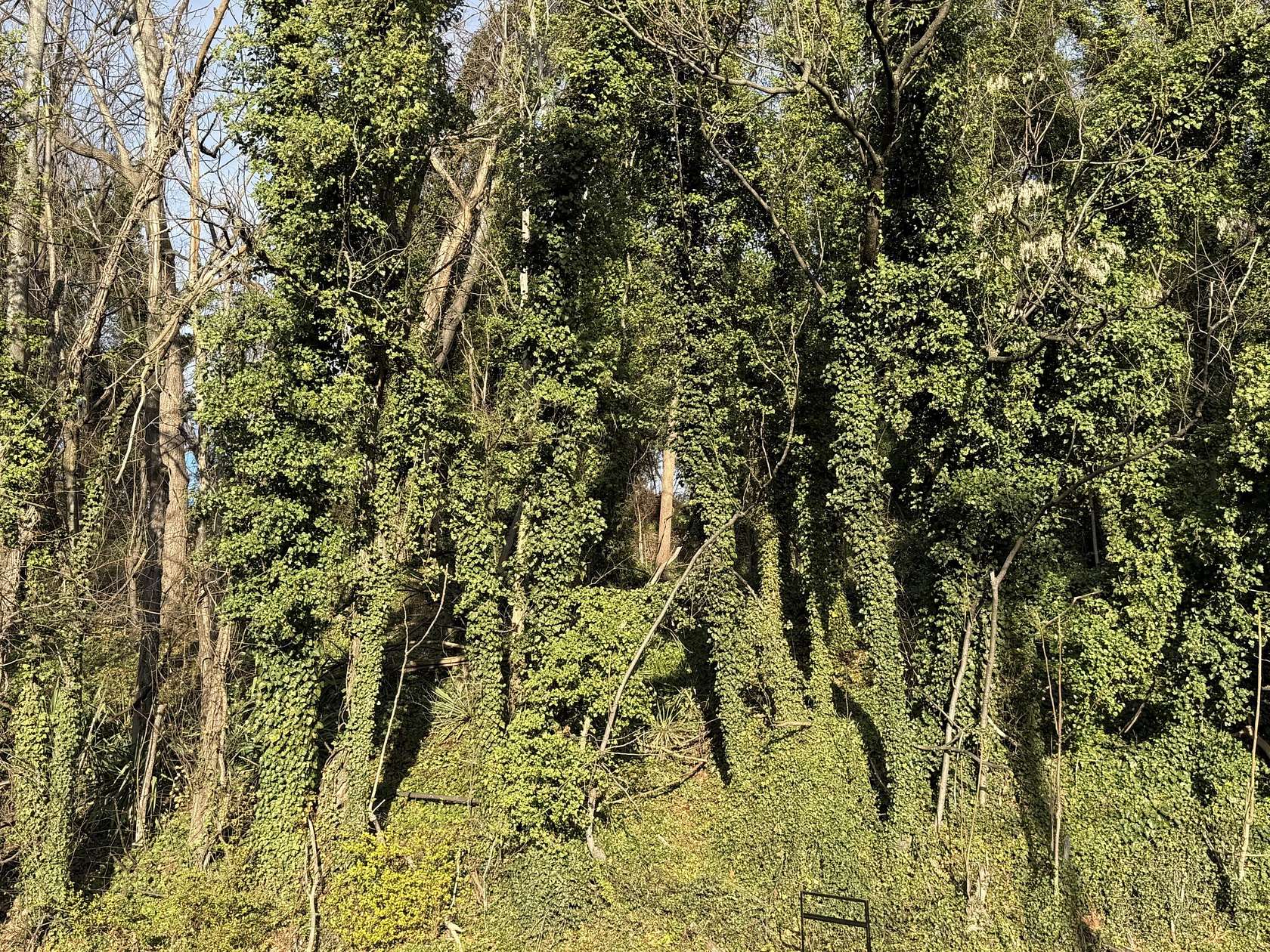 0.14 Acres of Land for Sale in Roanoke, Virginia