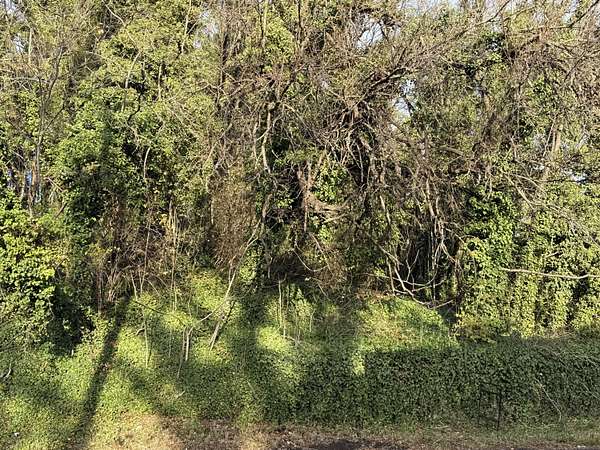 0.04 Acres of Land for Sale in Roanoke, Virginia