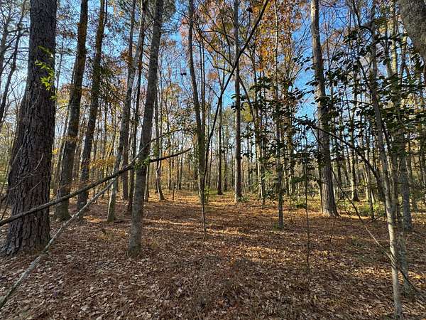 8 Acres of Land for Sale in Wetumpka, Alabama