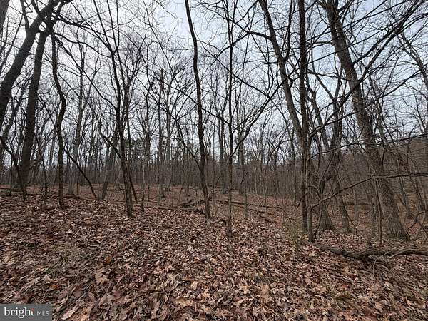 5 Acres of Residential Land for Sale in Gore, Virginia