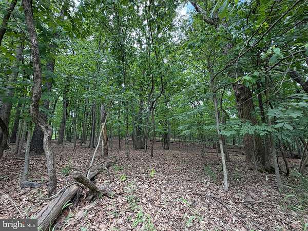 5 Acres of Residential Land for Sale in Gore, Virginia