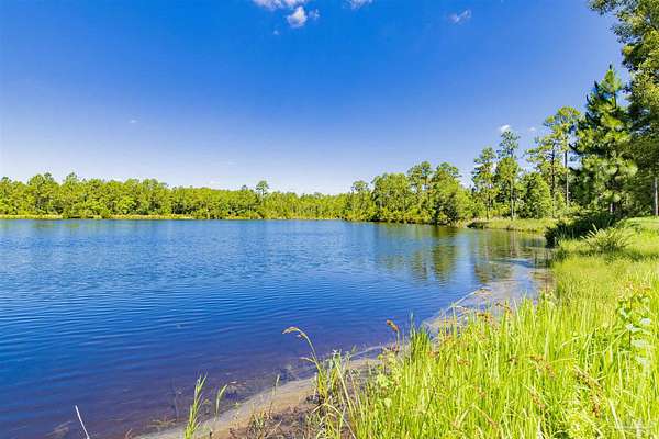 40.2 Acres of Land for Sale in Seminole, Alabama