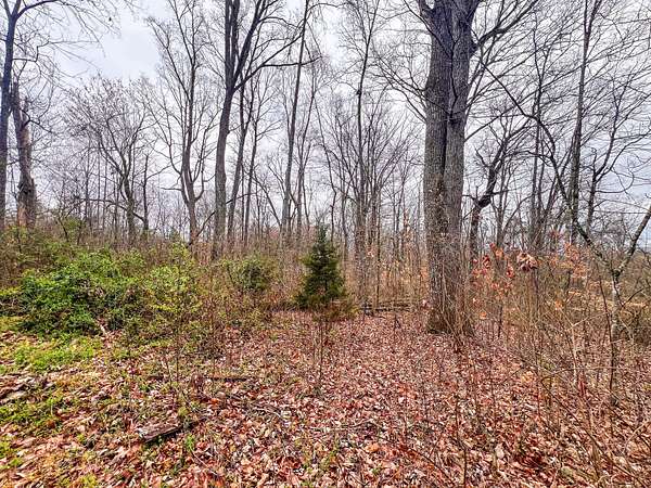 0.4 Acres of Residential Land for Sale in New Tazewell, Tennessee