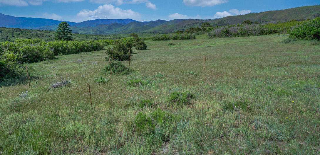 5 Acres of Land for Sale in La Veta, Colorado