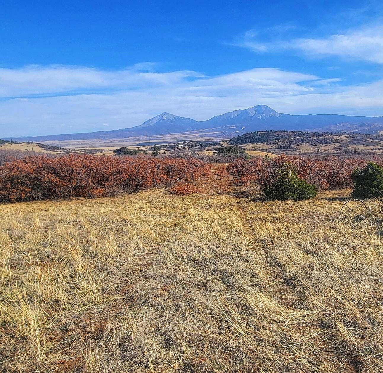 5 Acres of Land for Sale in La Veta, Colorado