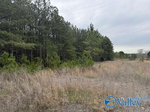 90 Acres of Land for Sale in Fort Payne, Alabama