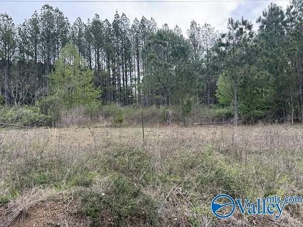 19.6 Acres of Land for Sale in Fort Payne, Alabama