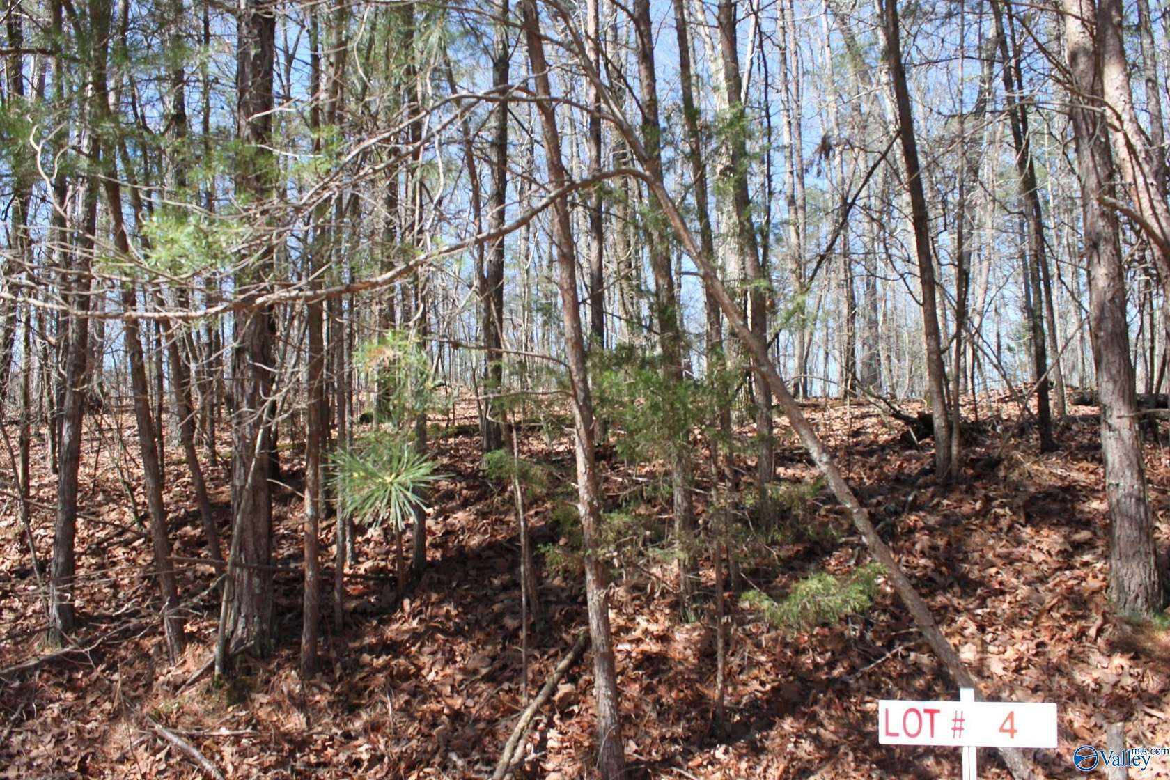 0.34 Acres of Residential Land for Sale in Fort Payne, Alabama