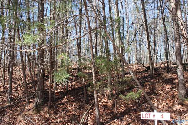 0.34 Acres of Residential Land for Sale in Fort Payne, Alabama
