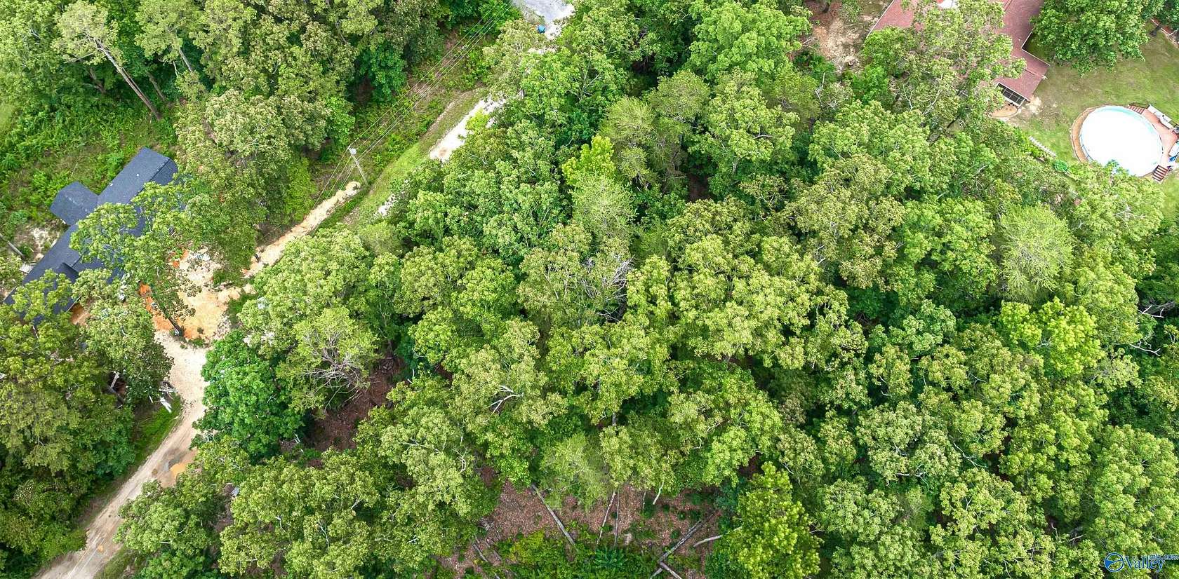 0.34 Acres of Land for Sale in Valley Head, Alabama