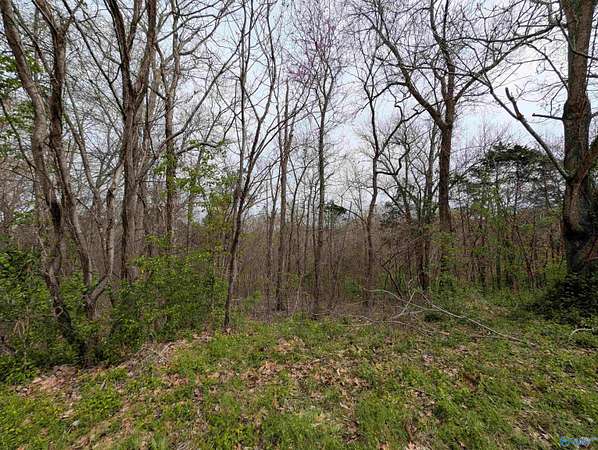 0.49 Acres of Residential Land for Sale in Madison, Alabama