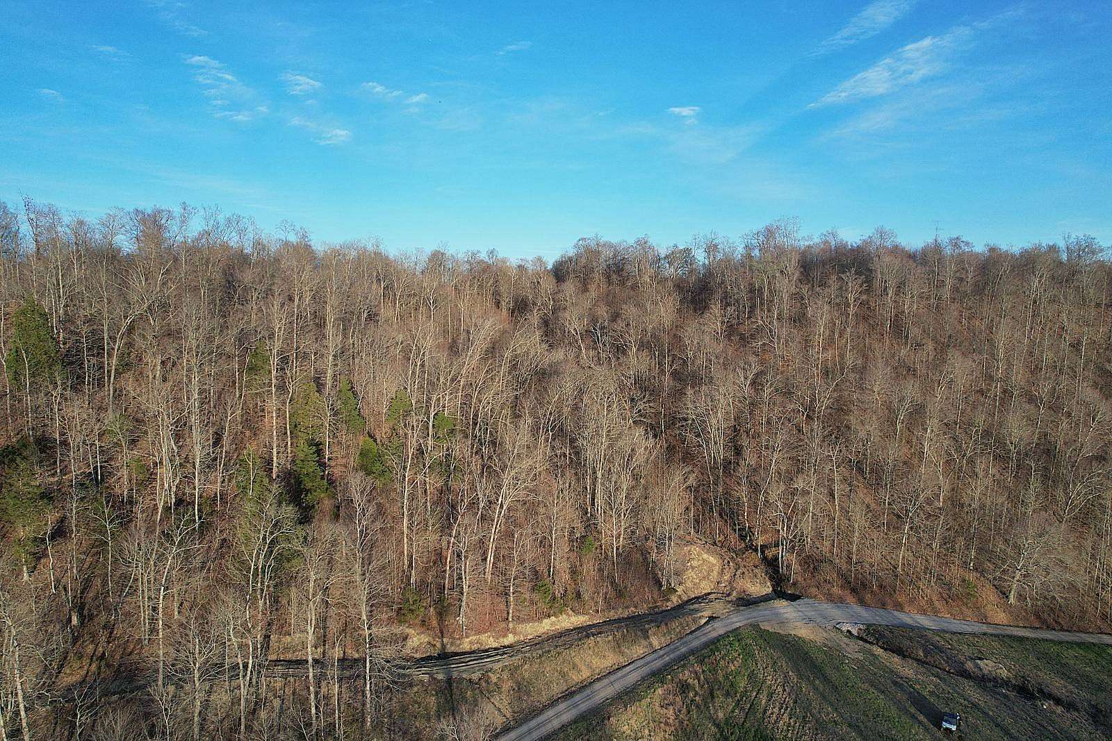 75.2 Acres of Recreational Land for Auction in Liberty, Kentucky