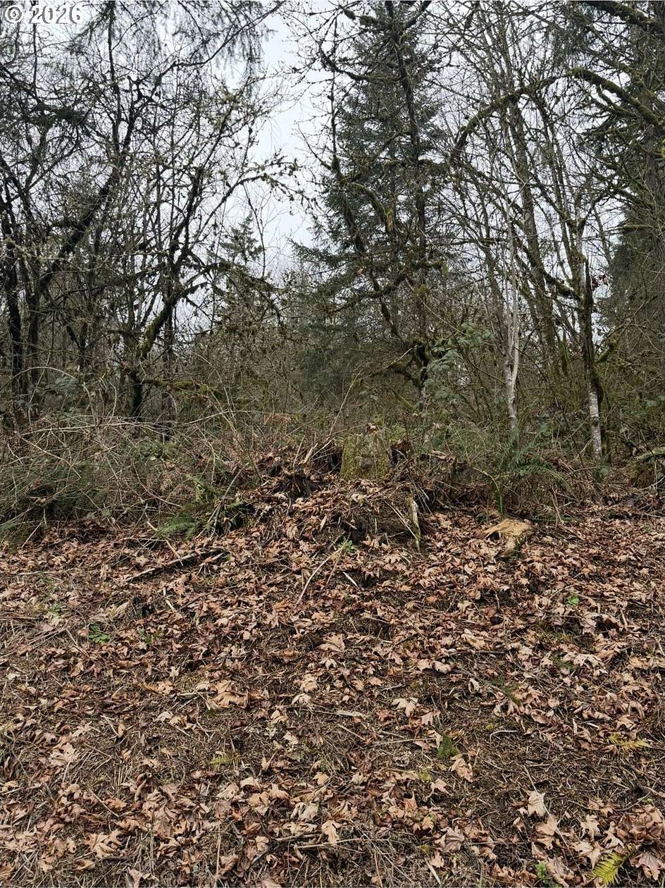0.18 Acres of Land for Sale in Rainier, Oregon